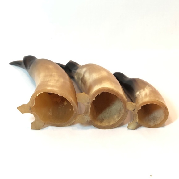 Xxx - 3 Penguins Carved From Horns - Picture 3 of 4